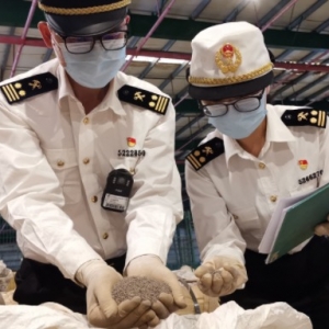 海关进行保税核查，重点核查内容有哪些？